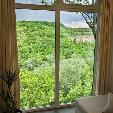Сottage "Family Estate" Villa Kamianets-Podilskyi Ngoại thất bức ảnh